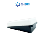 CLISUN-17