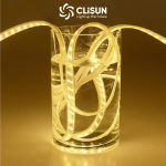 CLISUN_DÂY LED-11